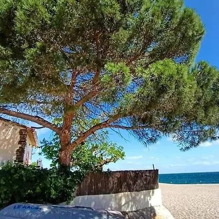 Apartmán 2 Pieces, Vue Mer, Acces Plage, Parking - Fr-1-776-132