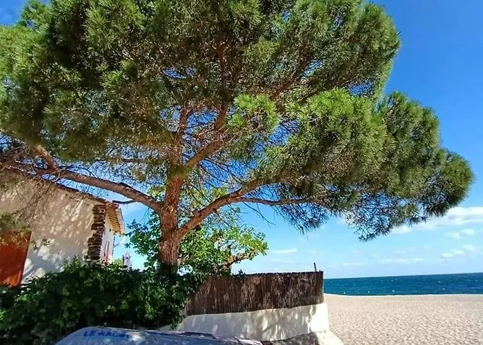 Apartmán 2 Pieces, Vue Mer, Acces Plage, Parking - Fr-1-776-132